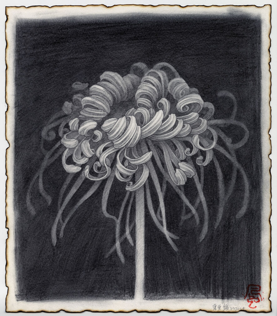 Fuco Ueda - Artworks for Sale & More | Artsy