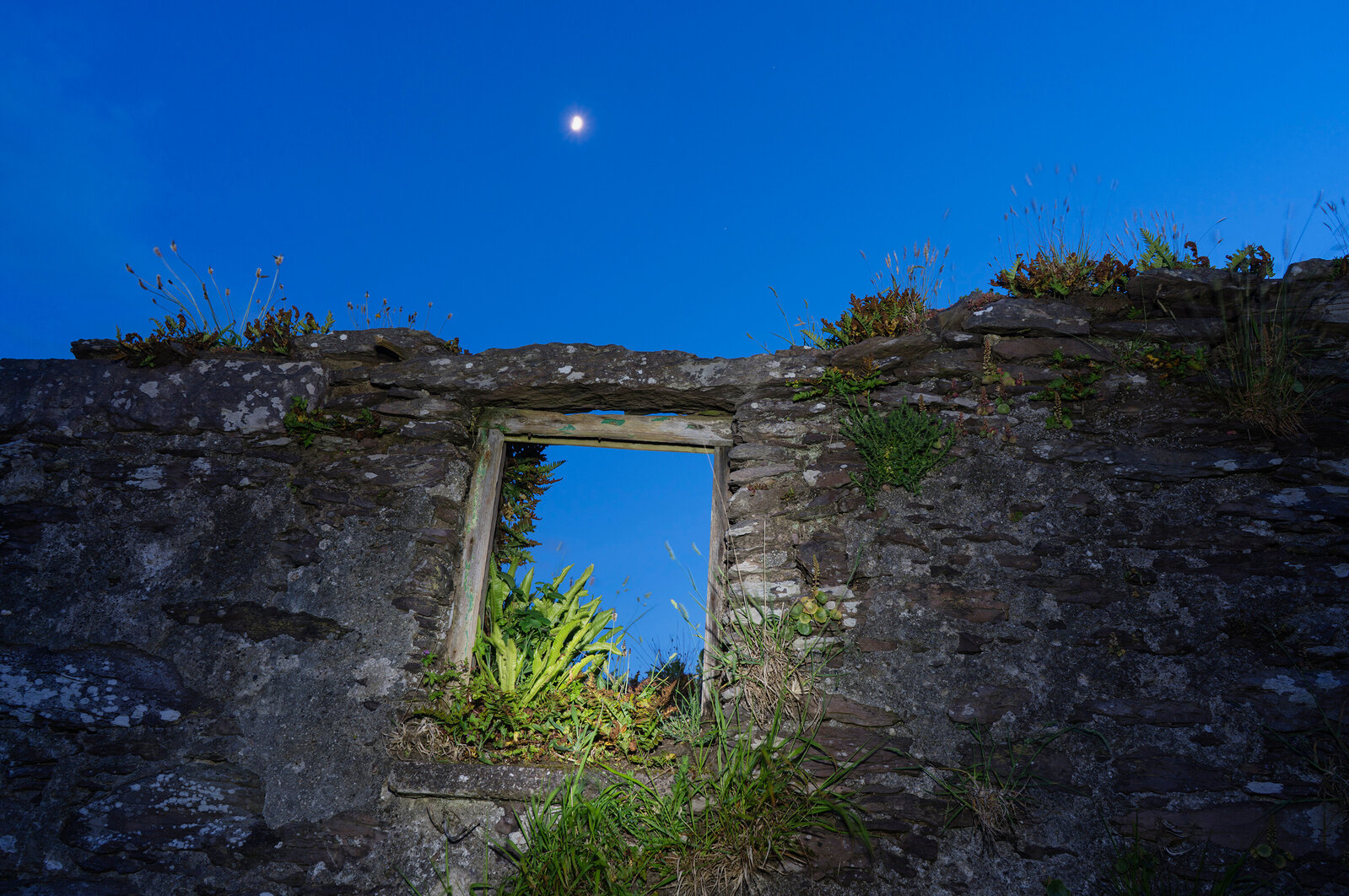 Kocol Mary Kocol | Wild Garden Window Portal with Moon, Ireland (2023) | For ...