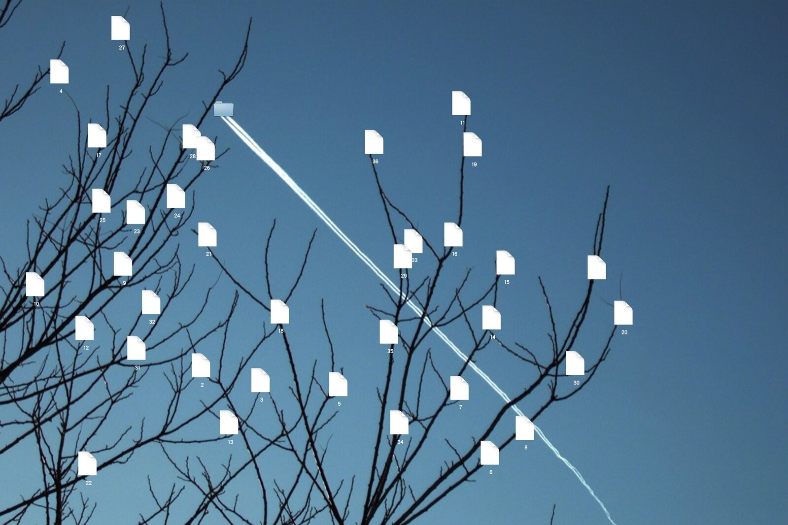 Lin Ke 林科 | Jet Folder&Data Tree (2013) | Artsy