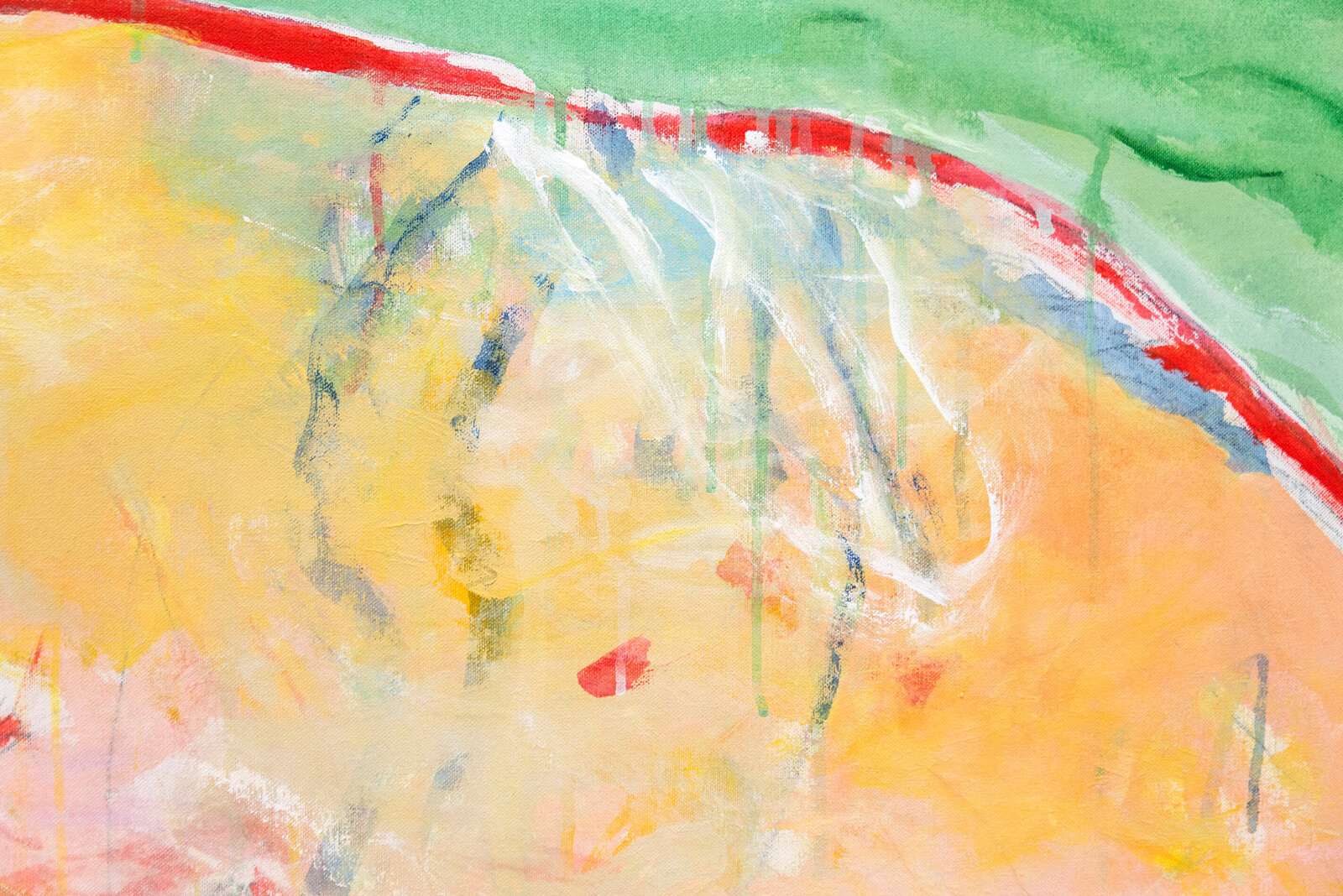 Rick Rivet | Above the Beach 9 - colourful, animal, indigenous ...