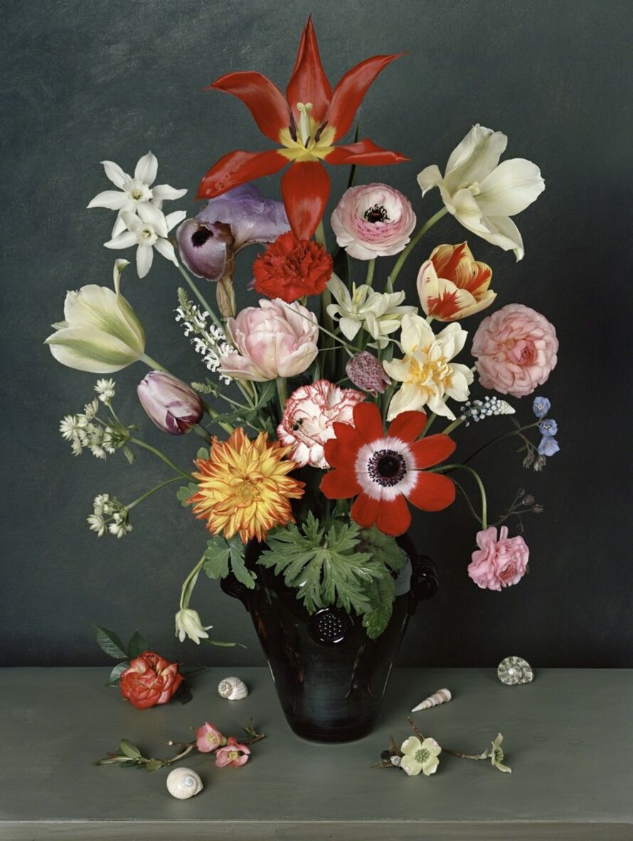 Sharon Core - Artworks for Sale & More | Artsy