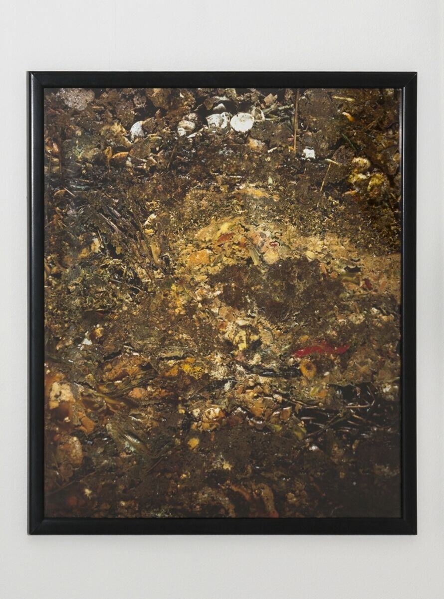 Helen Chadwick Artworks for Sale & More Artsy