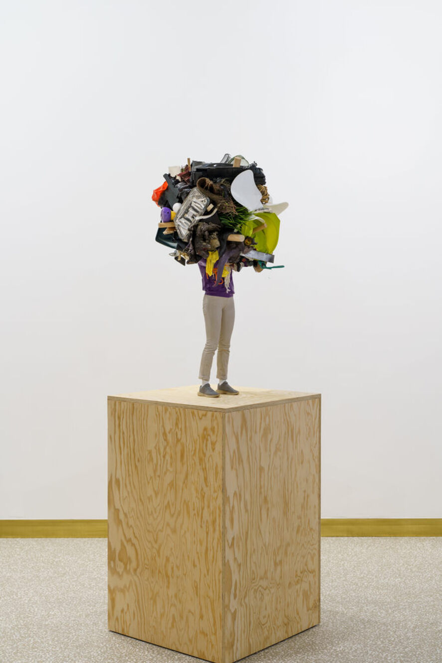 Daniel Firman - Artworks for Sale & More | Artsy