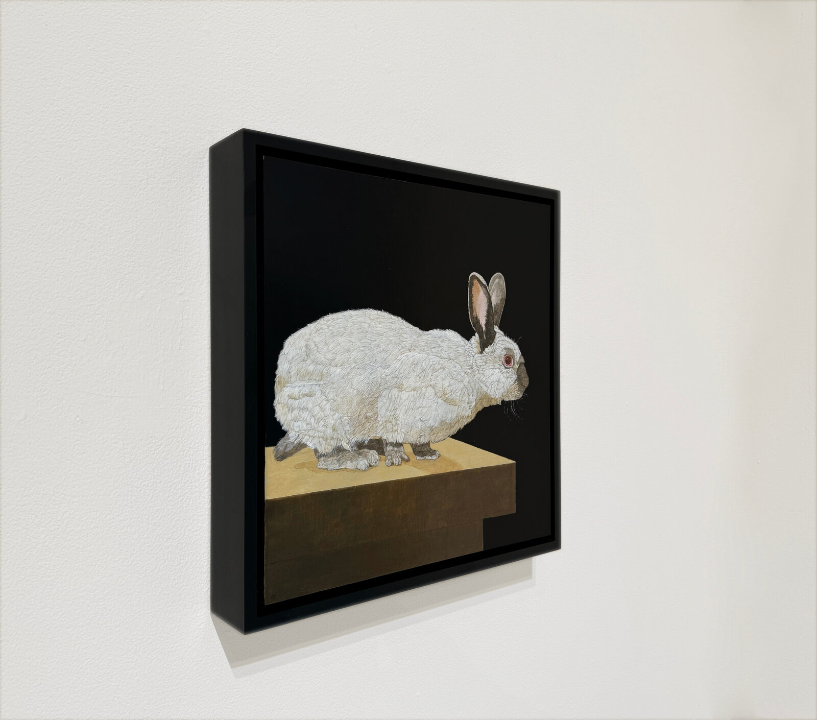 Patricia Traub | Himalayan Bunny (2024) | Available for Sale | Artsy