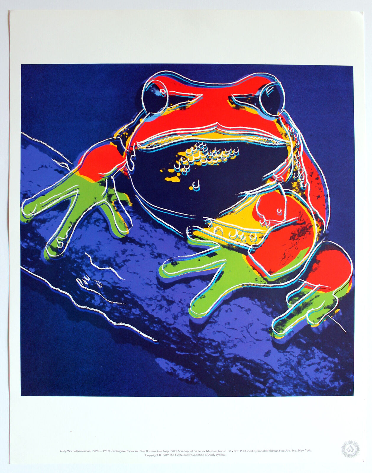 Andy Warhol | Endangered Species: Pine Barrens Tree Frog (1989 ...
