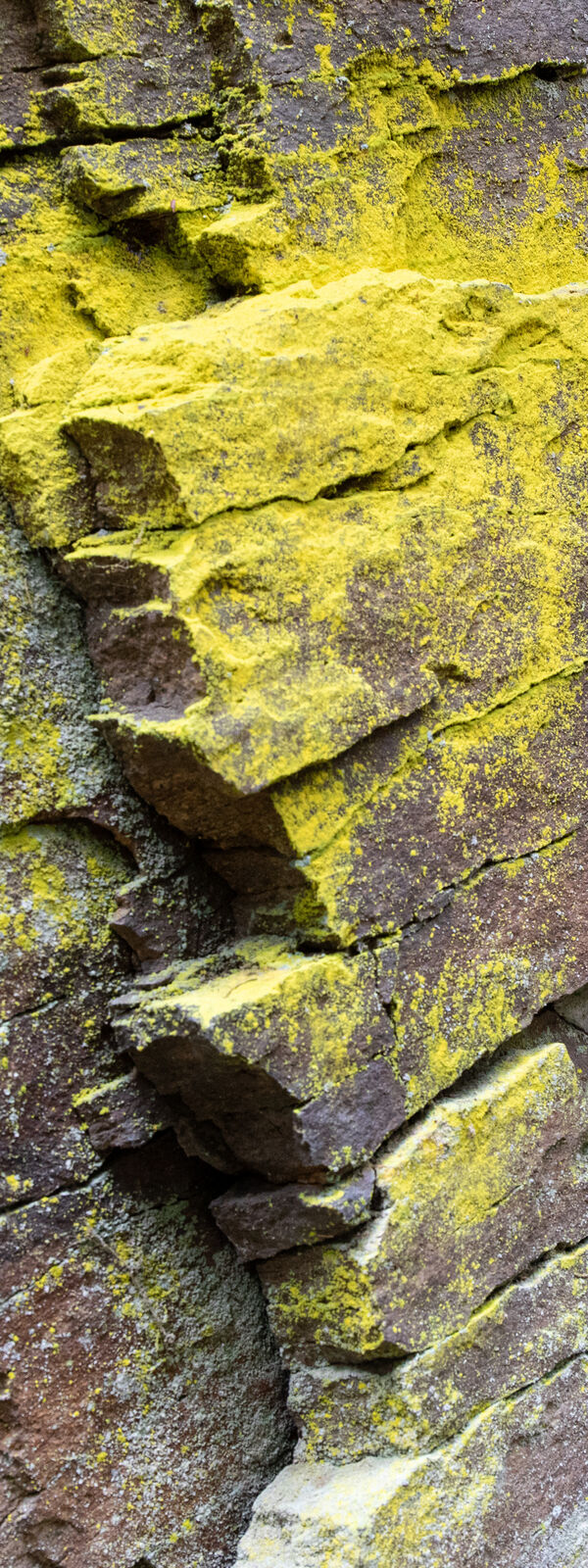 Beek Roch Marcel van Beek | Earth: The Rock's Voice (The Four Elements - Vertical ...