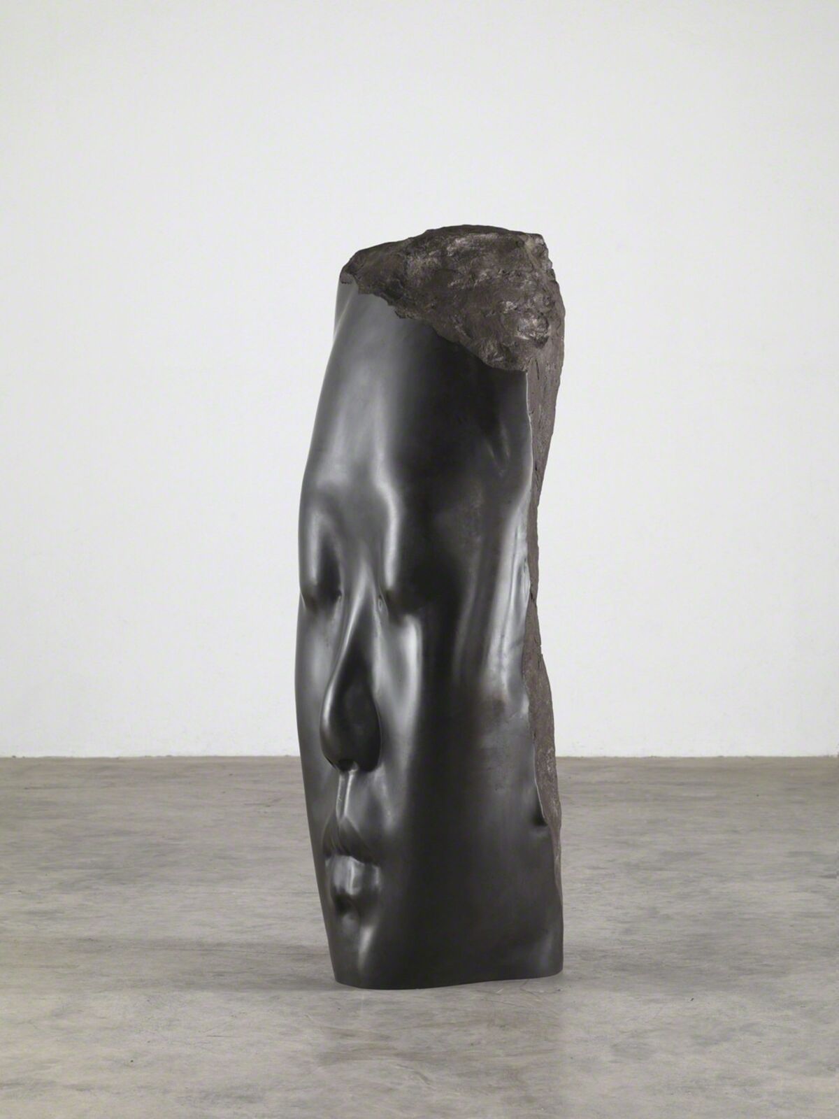 Rui Rui Photo Gallery Jaume Plensa | Rui Rui´s Dream (2014) | Artsy