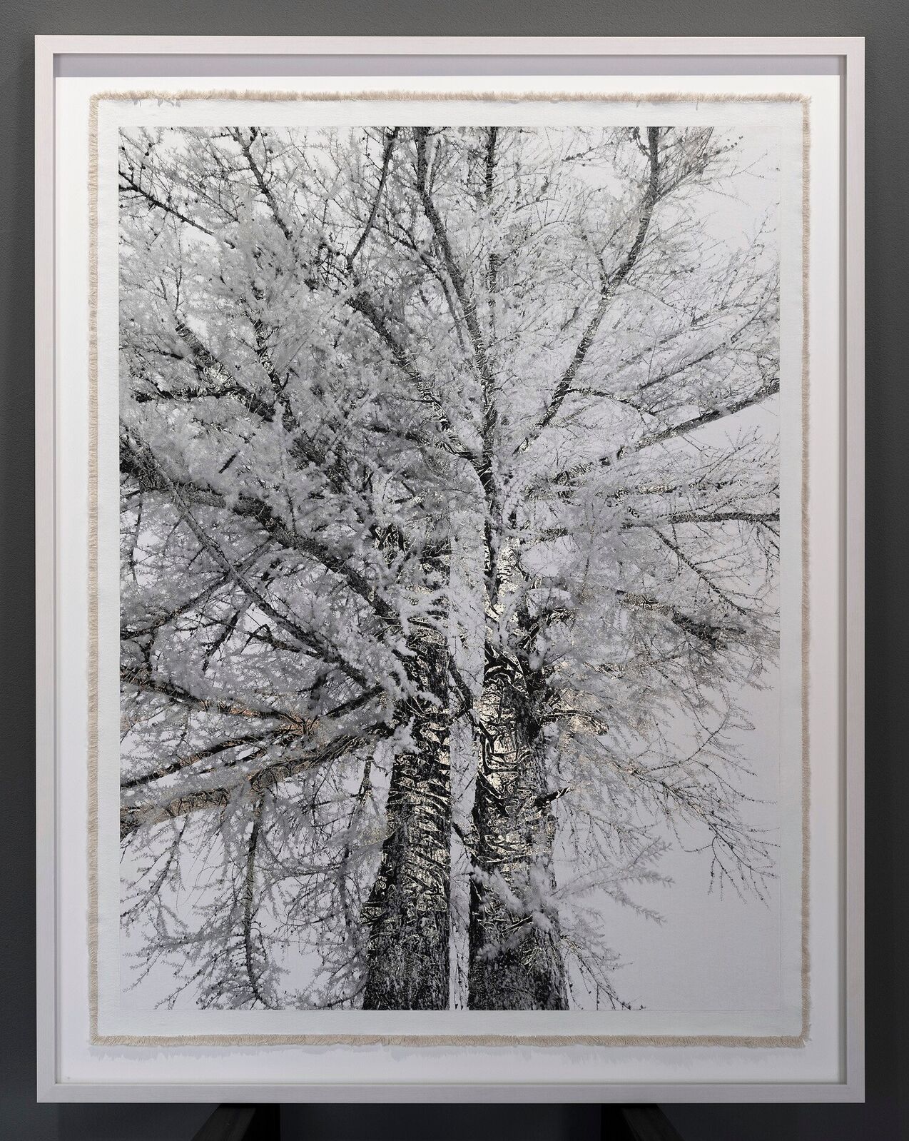 Bill Claps | Brothers of Val Fex (2026) | Available for Sale | Artsy