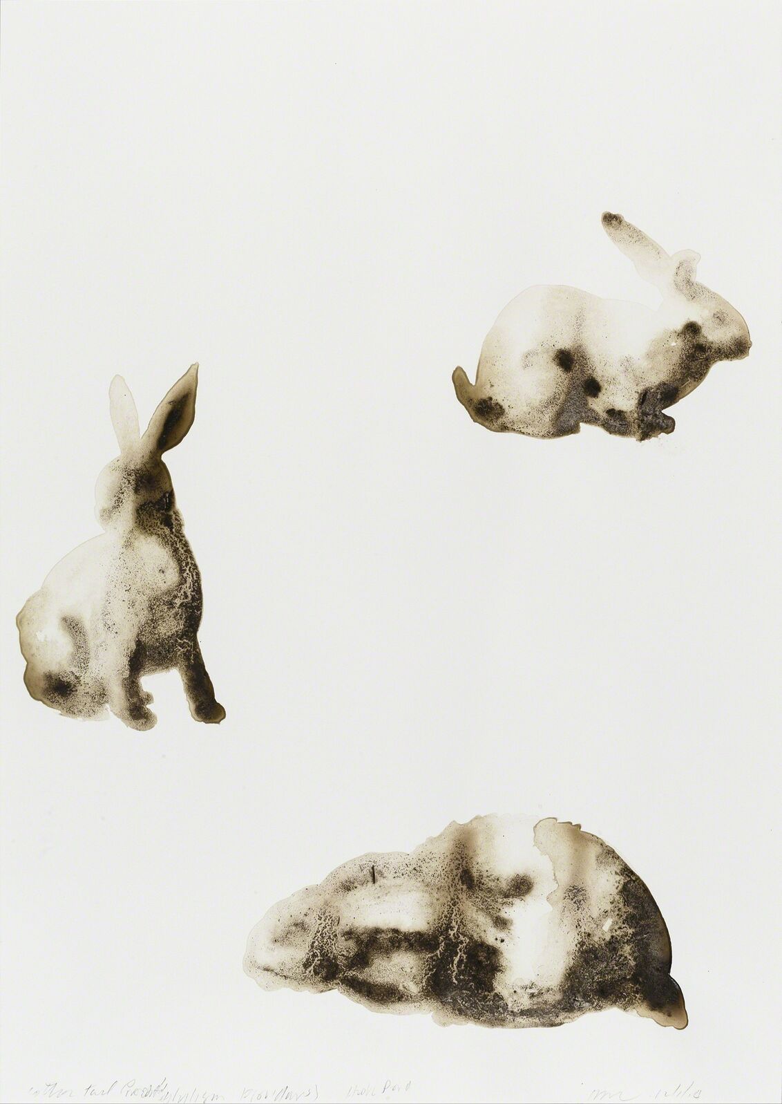 Alexis Rockman | Cottontail Rabbit (Sylvilagus floridanus) (2014) | Artsy