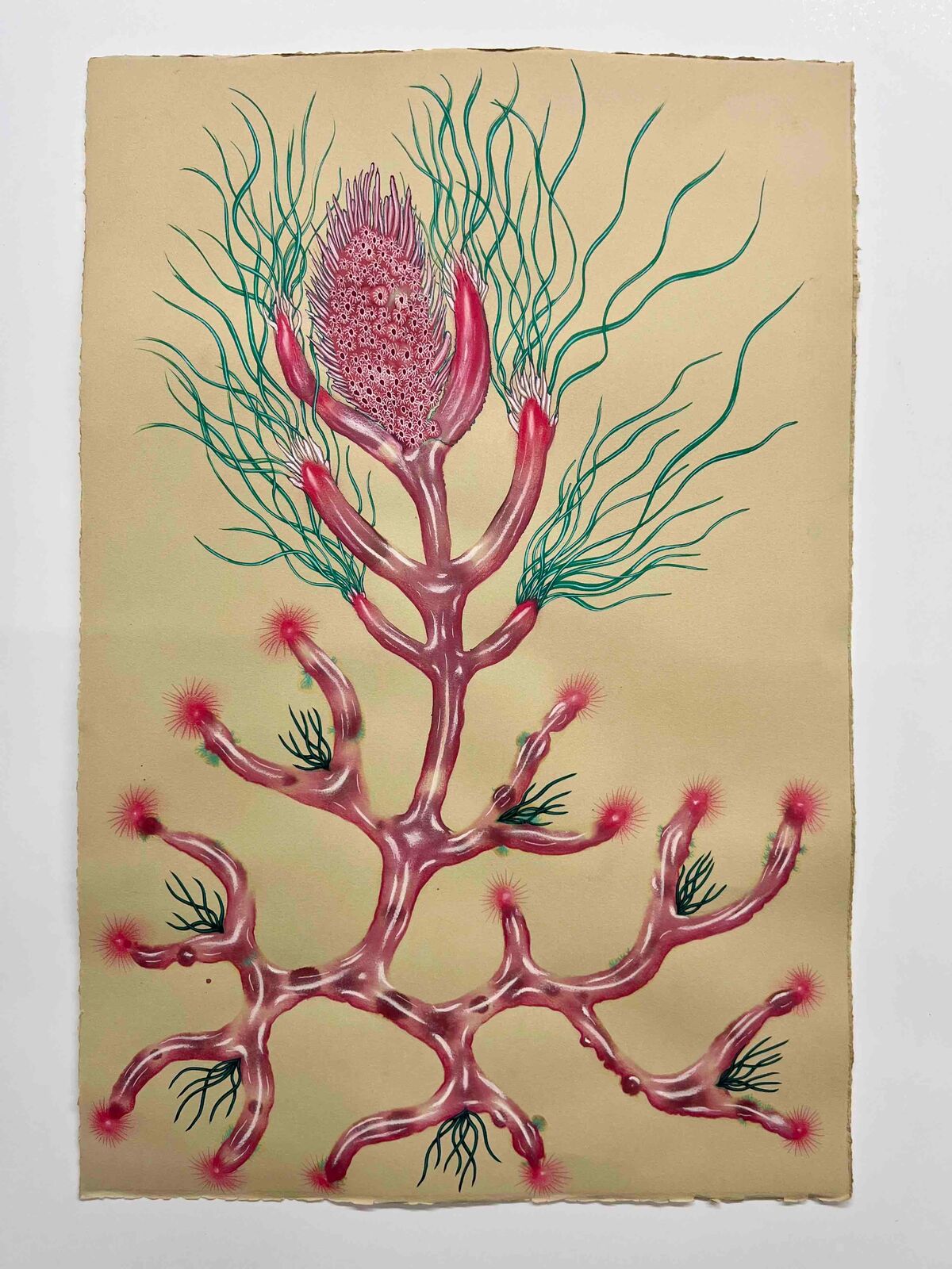 Emily Ritz | Pulse Flower (2024) | Artsy