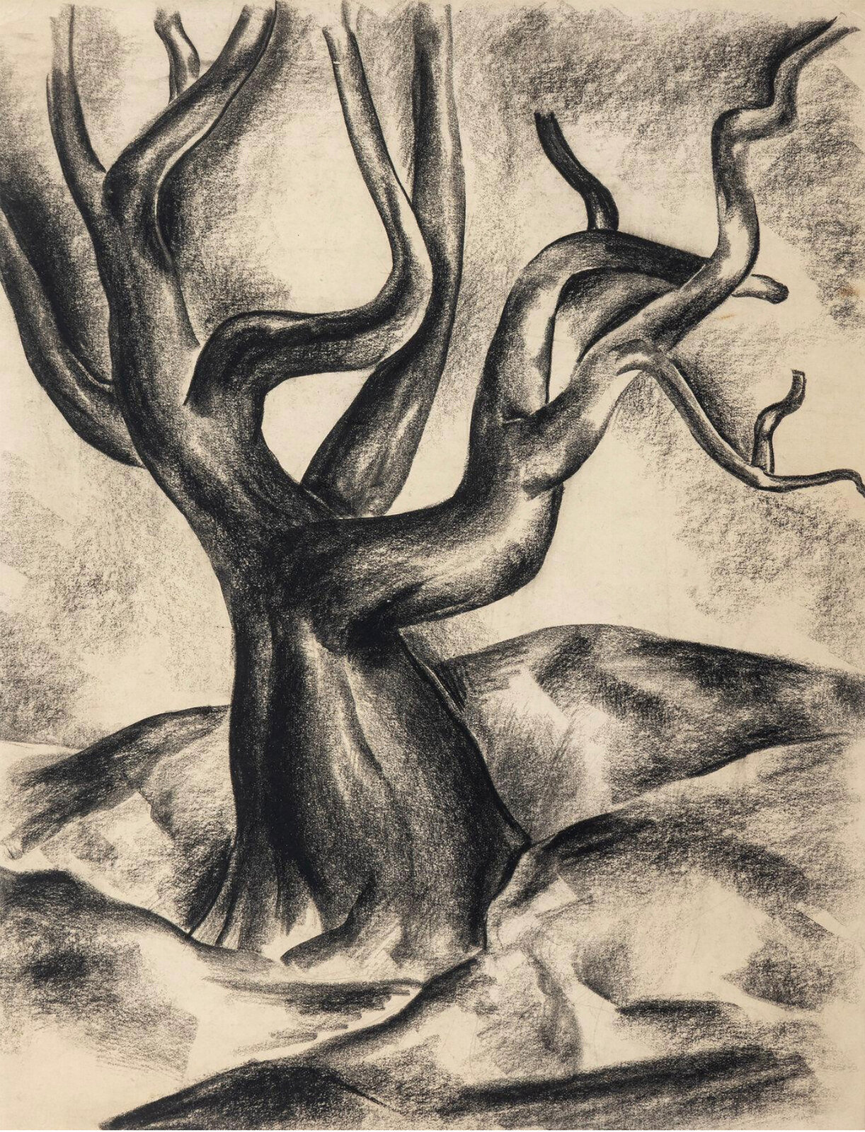 Charles Alston Gnarled Tree African American Artist ca 1930 Charles Alston Gnarled Tree African American Artist ca 1930