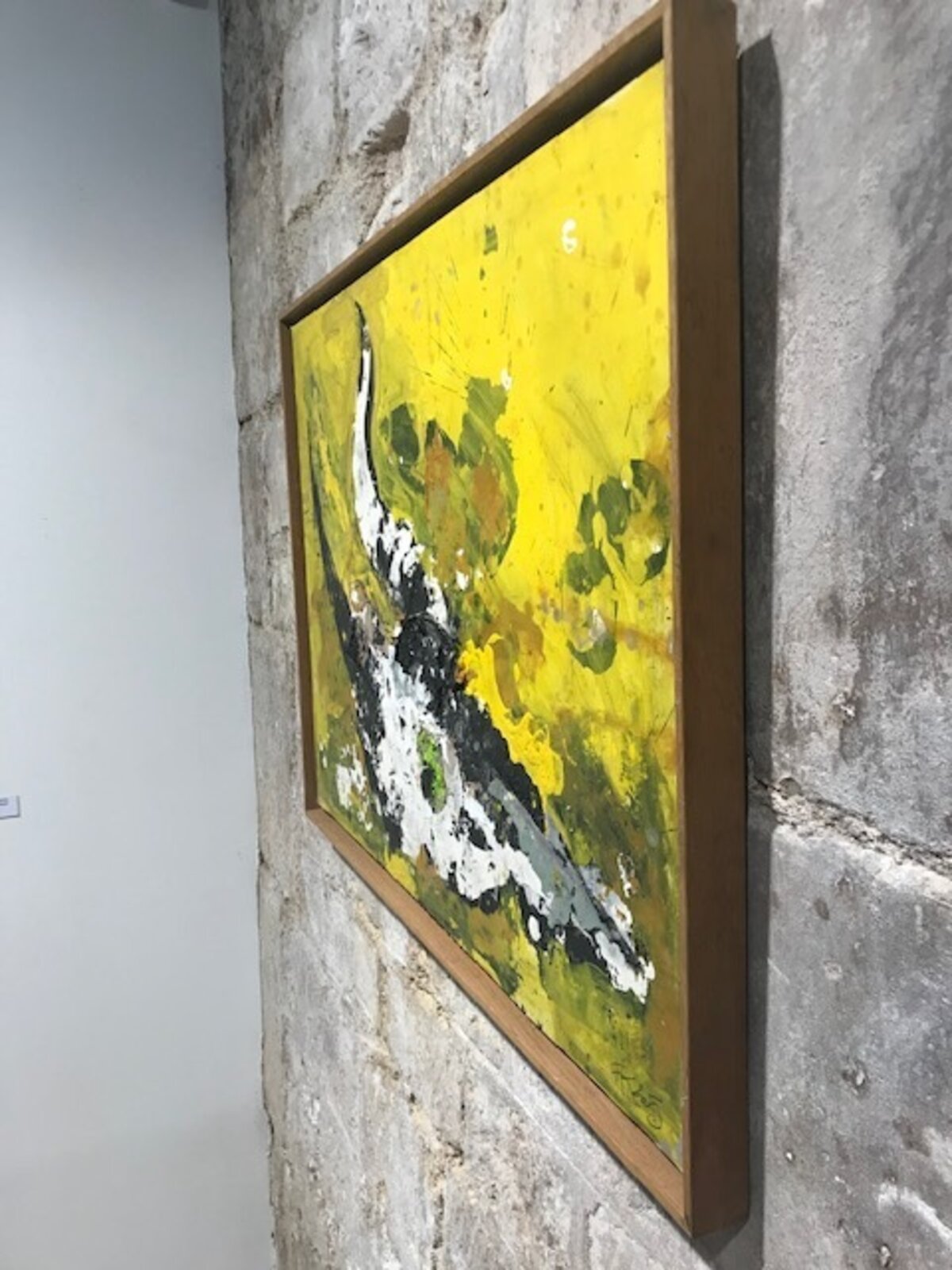 Fred Kleinberg Crâne indien (2005) Available for Sale Artsy