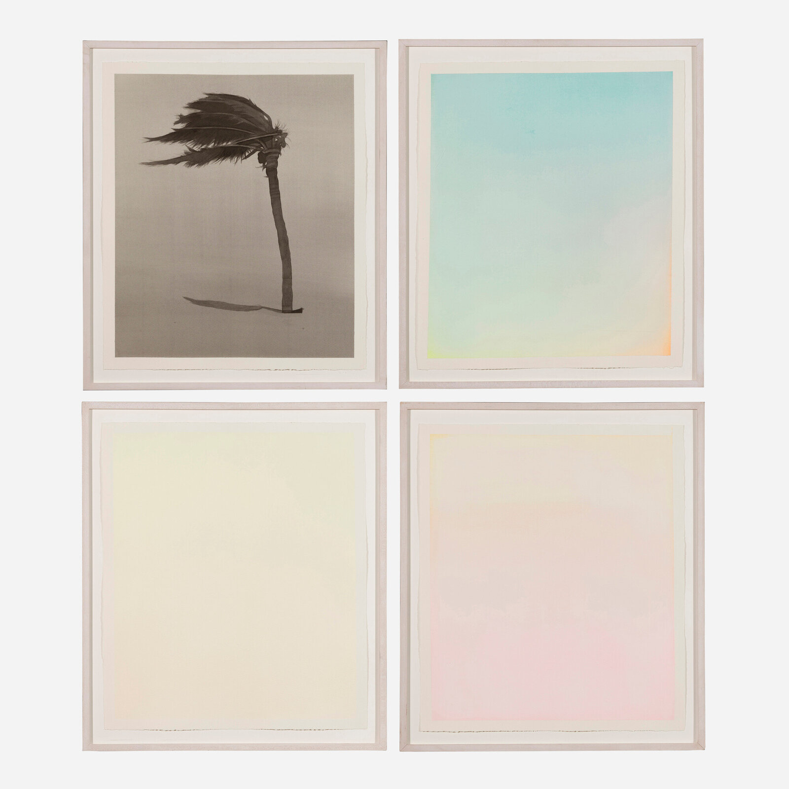 Boo Saville | Palm; Abstract #1; Abstract #2; Abstract #4 (four works ...