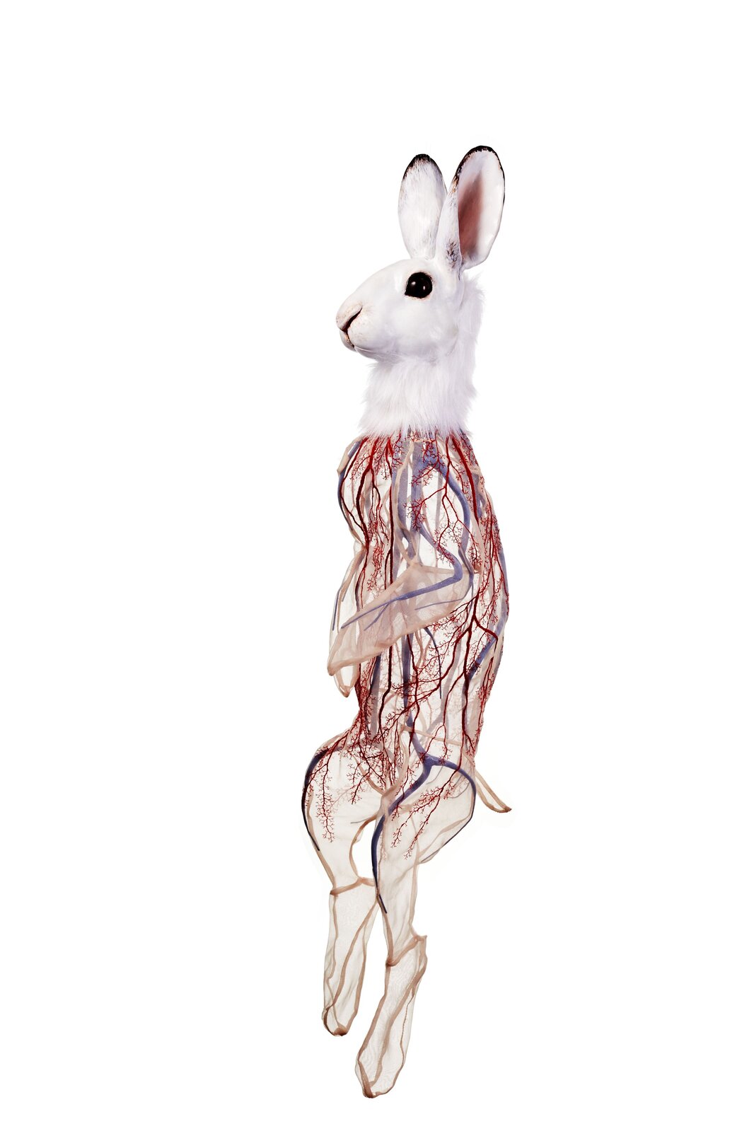 Kami Rabbit Rabbit Kami: Blood Vessels (2020) by Deborah Simon - For Sale | Artsy