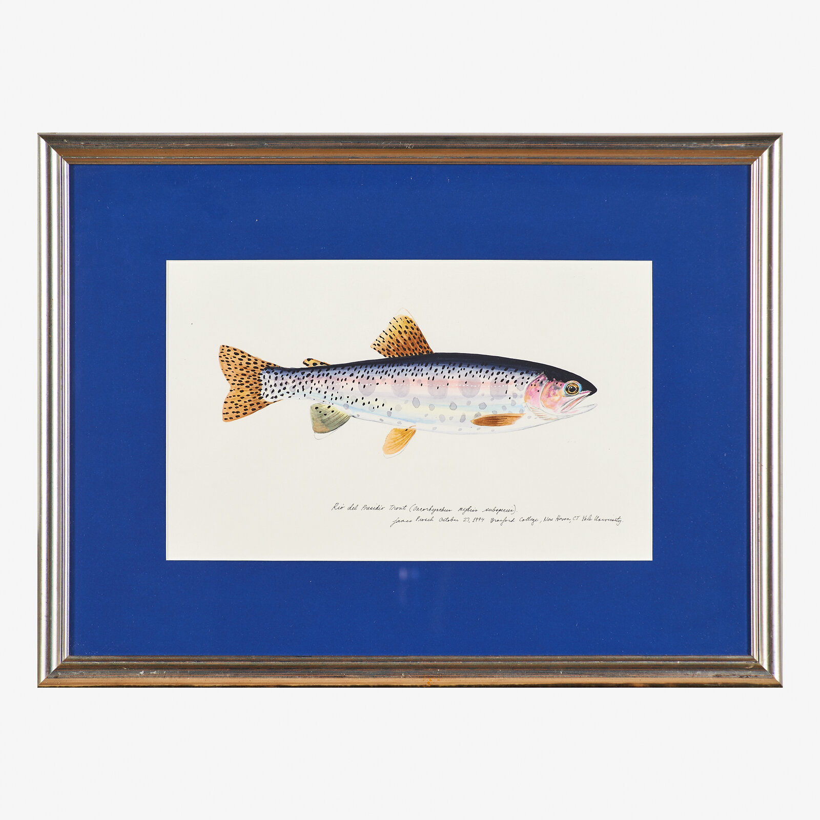 James Prosek | Four works of art | Artsy