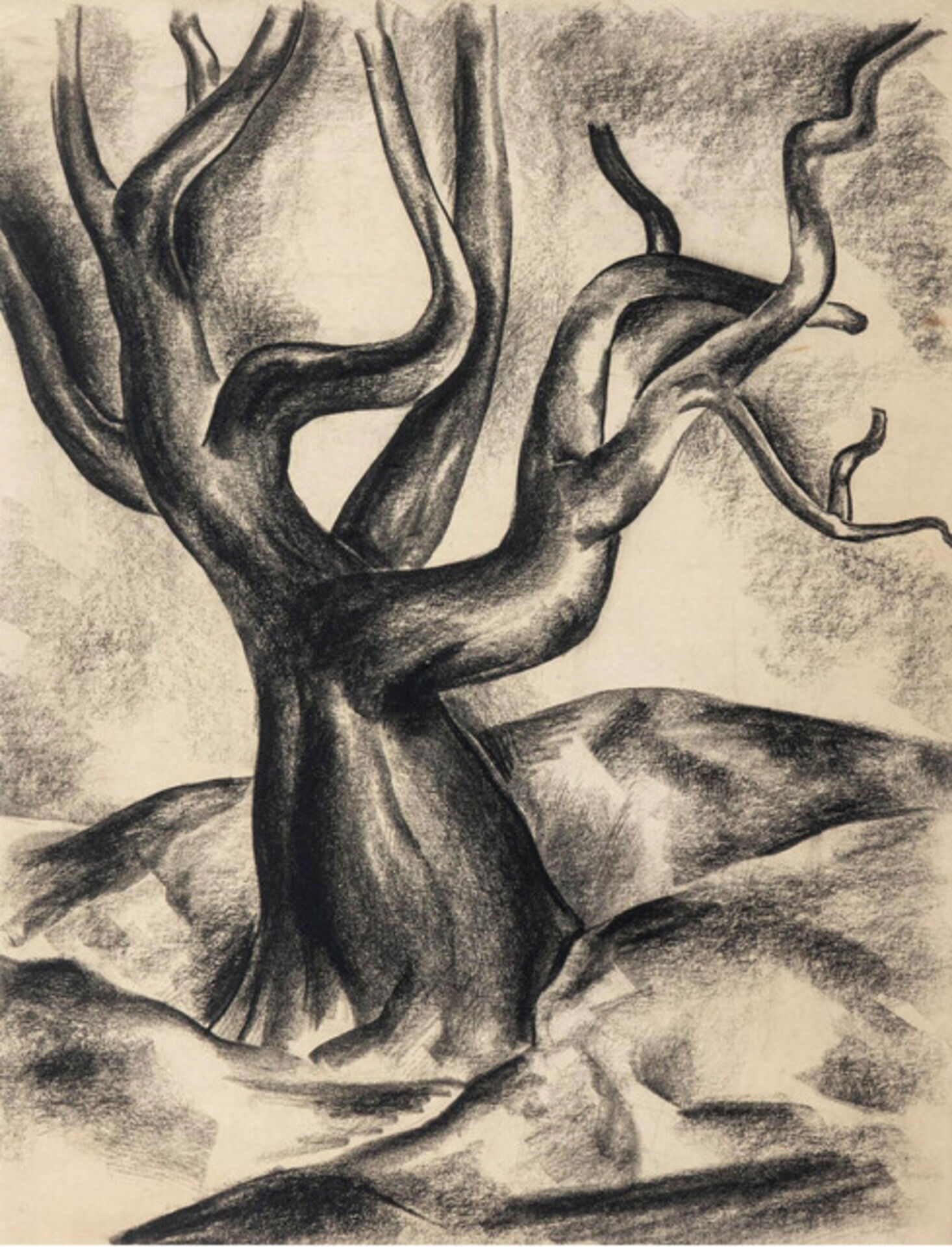 Charles Alston Gnarled Tree African American Artist 1930