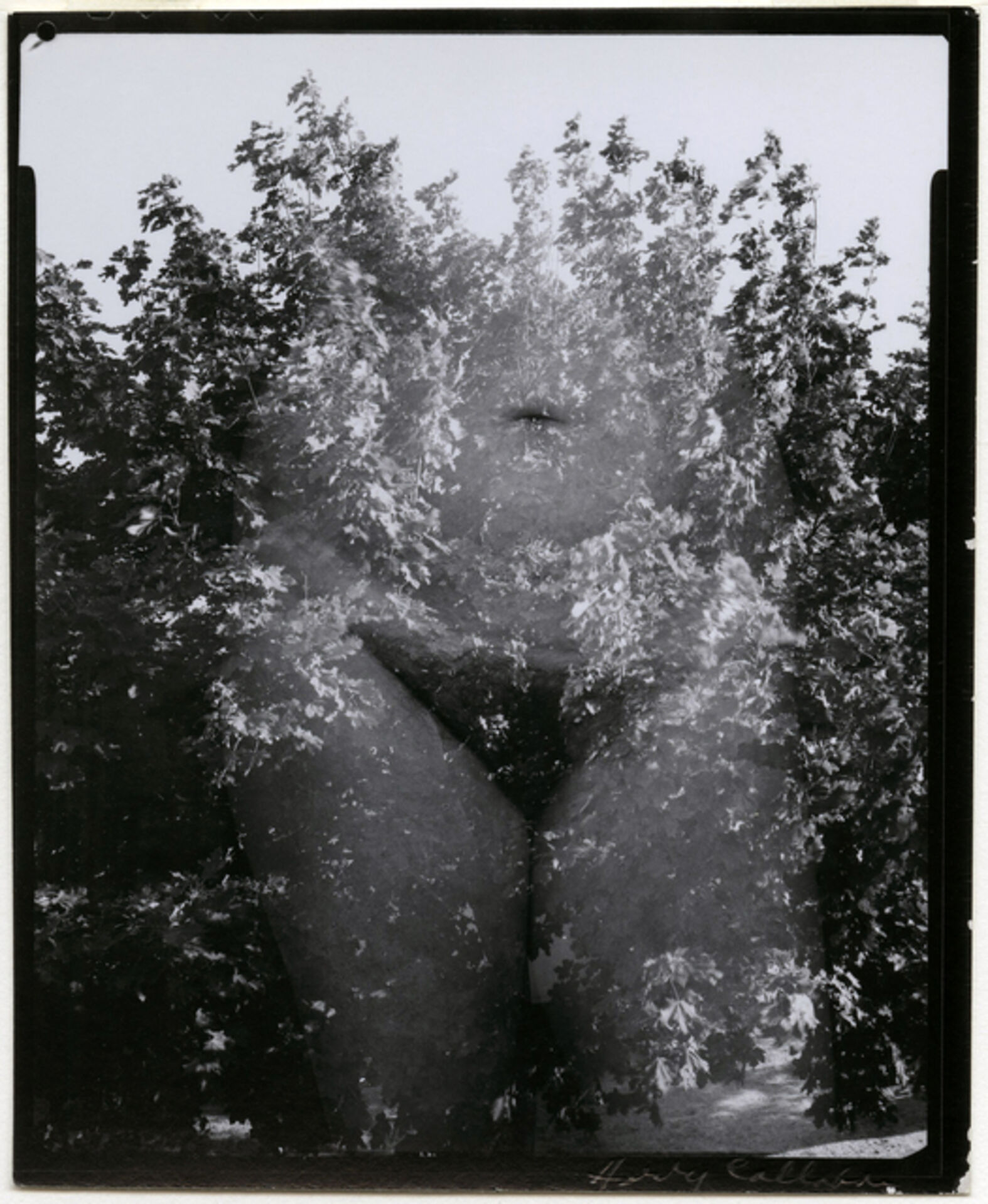 2016 ls-island little nude pictures