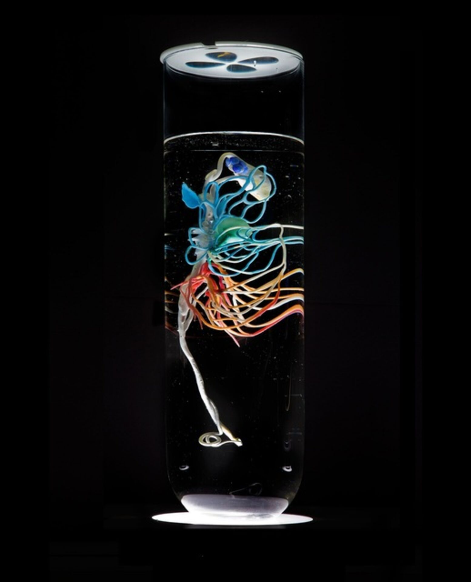 Eng semiz porno Musulmon porno seks videolar