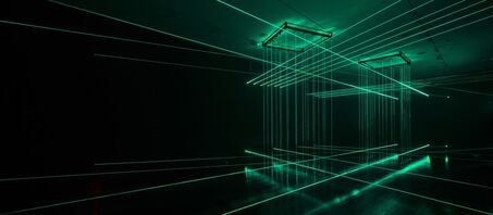 Li Hui, ‘Cage’, 2006-2014