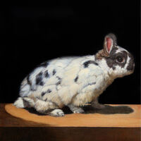 Patricia Traub - Artworks for Sale & More | Artsy