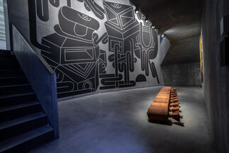 Protection No Longer Assured, installation view