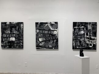Ghost Visions: A Joy Ray Solo Show, installation view