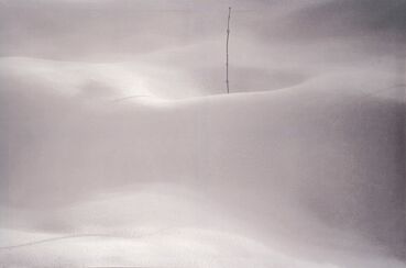Abbas Kiarostami, ‘Untitled, from the series "Snow White"’