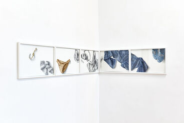 Csilla BABINSZKY, ‘Strip – These Are My Clothes, But Where Am I? --- Strip – avagy ezek a ruháim, de hol vagyok én?’, 2013