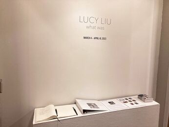 File:Lucy Liu HS Yearbook.jpeg - Wikipedia