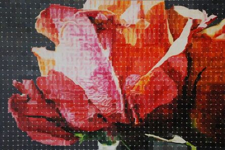 Robert Lemay, ‘Garden Roses’, 2014