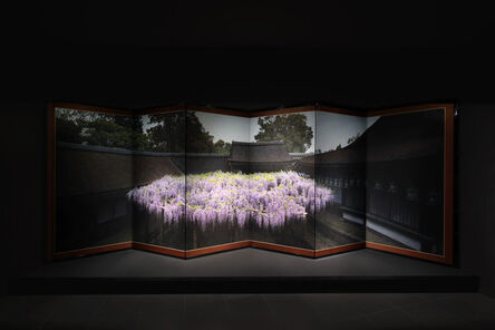 Hiroshi Sugimoto, ‘Wisteria of Kasuga Grand Shrine’, 2022