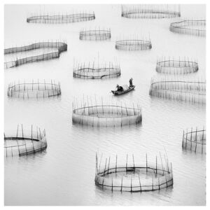 Alexandre Manuel, ‘Nets, Ningde, Fujian, China’, 2018