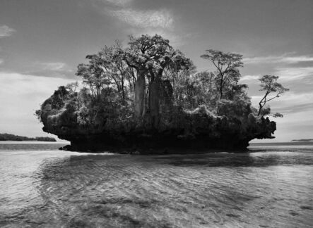 Sebastião Salgado, ‘Baobab Trees on a Mushroom Island in the Bay of Moramba, Madagascar’, 2010