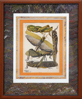 E. A. Seguy, ‘Twentieth-Century Earth-Toned Naturalistic Pochoir Print of Various Insects’, 20th Century