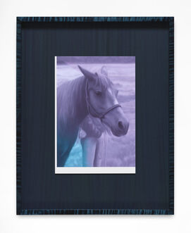 Andrew Sendor, ‘Casparina’s remembrance of Rallis Royce in Saturday’s home’, 2023