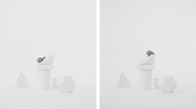 Axel Antas | Still life (Inertia geometry, arrangement I), diptych ...