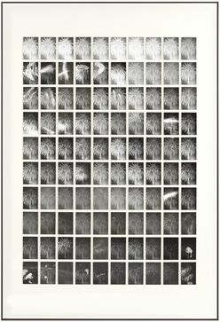 Bruno V. Roels, ‘A Palm Tree Is A Palm Tree Is A Palm Tree (Night Giant)’, 2015