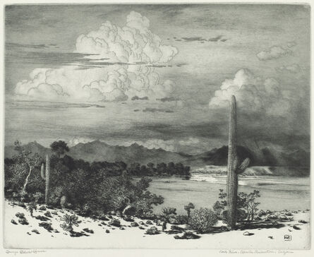 Gravura De Qualidade De Museu Sem título (tradução para Springtime, Paradise  Valley Arizona), 1920 por George Elbert Burr (1859-1939)