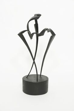 Mar Solís, ‘Danza Eliptica’, 2014
