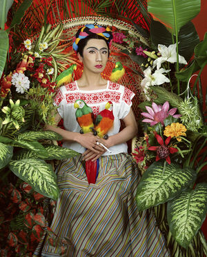 An Inner Dialogue with Frida Kahlo (Four Parrots)