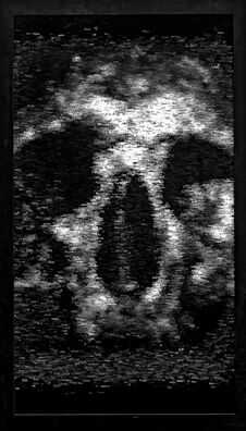 Charles Sandison, ‘Pallida mors aequo pulsat pede pauperum tabernas regumque turris’, 2008