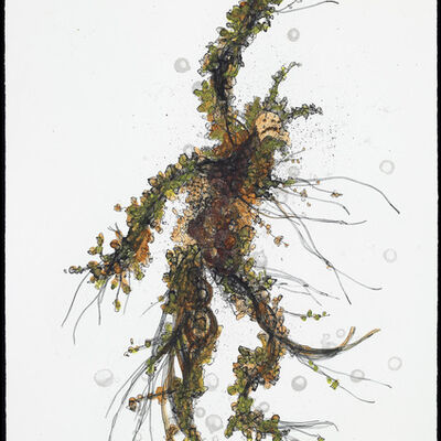 Matthew Ritchie - 10 Artworks, Bio & Shows on Artsy