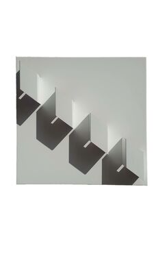 Maria Angélica Viso, ‘Inserciones Geométricas ’, 2017