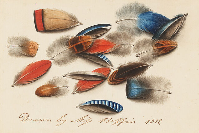 indian feathers drawing