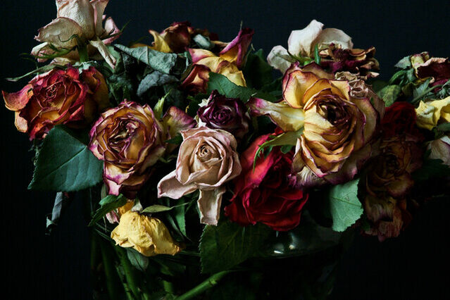 Walter Schels | Rosen (2006) | Available for Sale | Artsy