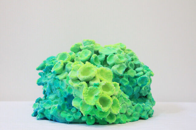 Pedro Matias | Scleractinia Callicle (2025) | Available for Sale | Artsy