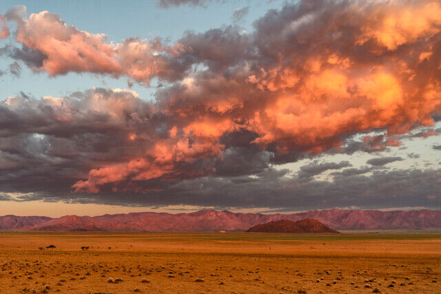 Ricky Workman Ricky Workman | Red Clouds (2025) | Available for Sale | Artsy