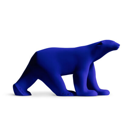 Orso Polare, Personaggio, Sky Limited, Blu, Orso, Blu Png