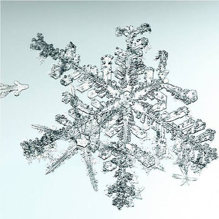 Doug & Mike Starn, ‘Untitled (Snowflake)’, 2006