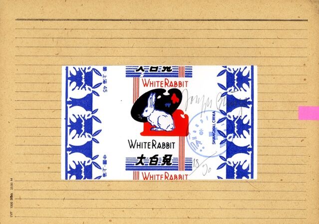 Joseph Beuys | White Rabbit (1979) | Artsy